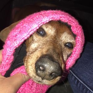 Meet your Posher, Savannah